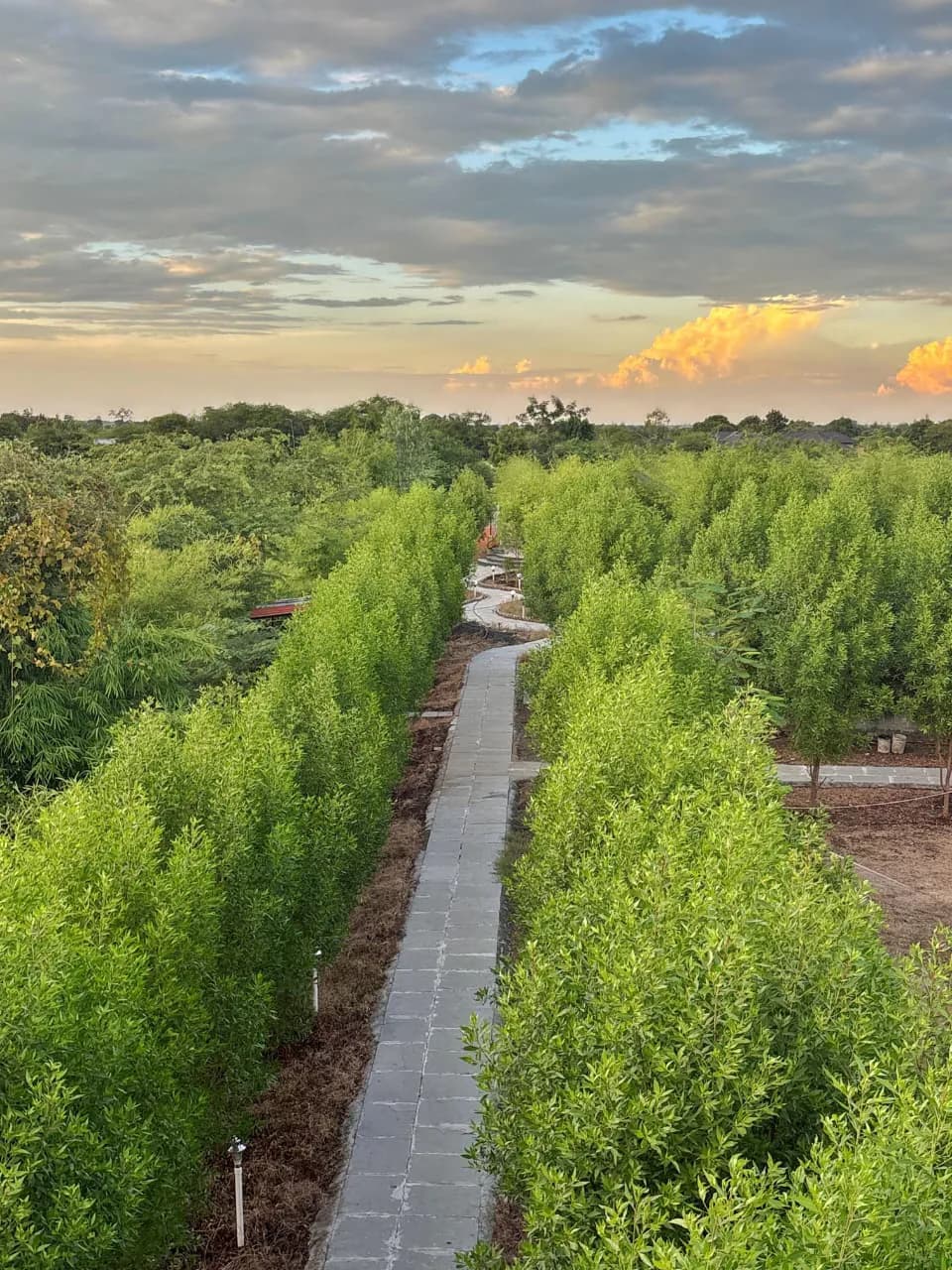 Garden pathway at sunset, Tadoba Aranya Villa