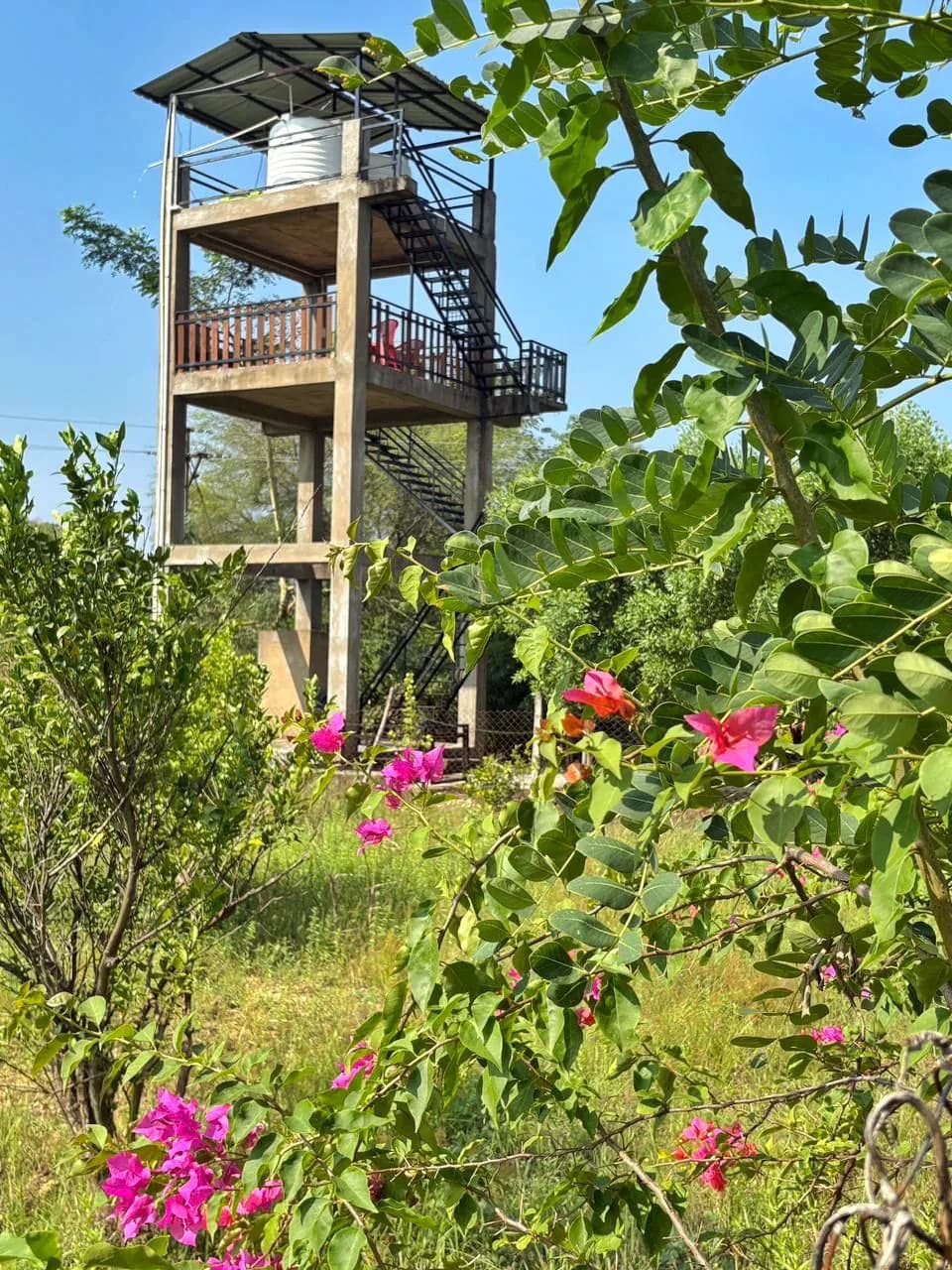 Two-storey machan watchtower at Tadoba Aranya Villa