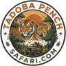 Tadoba Pench Safari